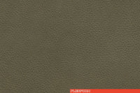 PELLE 855