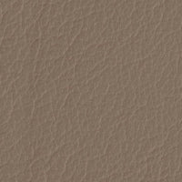 R717 col. 207