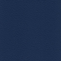 R806 col. bluette