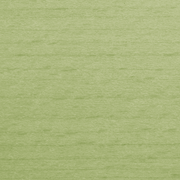 Reed Green TP 262