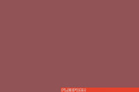 Glossy Salmon 1270
