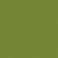Canvas 946