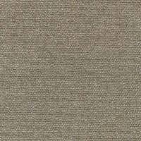 Moss 0017
