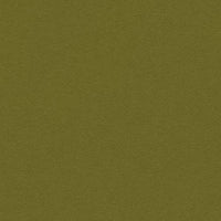 Avocado (K102136)