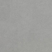 Silver (K102120)