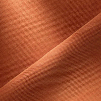 CORAIL (3806)