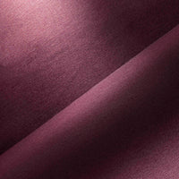 RASPBERRY (452)