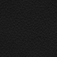 Beta 155 (1231155)