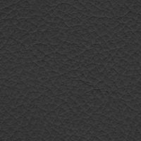 Beta 251 (1231251)