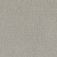 Light Grey (11IS)