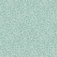 Curly col. 5101