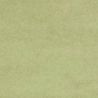 Violet col. 02