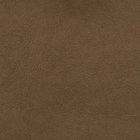 Enchant col. 16 Antilope