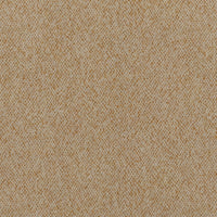 Beige Mustard (VAN413)