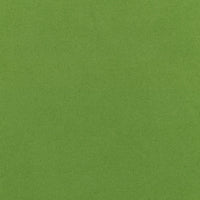 Light Lime (DIV956)