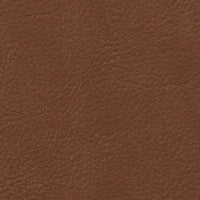 Haze | Walnut (HAWAL)