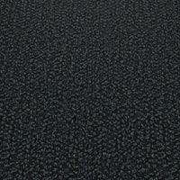 shungite
