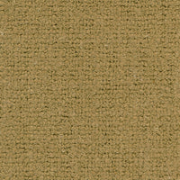 Ulmus 04