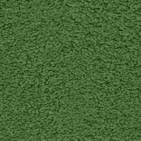 Evergreen (K24335)
