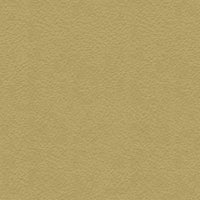 Gamma 410 (1226410)