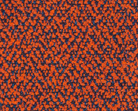 CORALLO (13F041)
