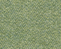 MENTA (13L016)