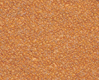 SENAPE (13L017)
