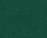 OLIVA (13L584)