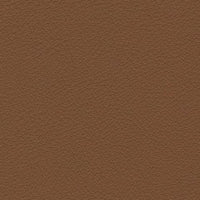 Kasia 360 (1227360)