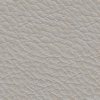 Koto 151 (1119151)