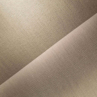 BEIGE (2290)