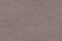 Burned Grey 40783