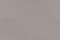 Light Grey 40782
