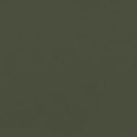Cactus 30081