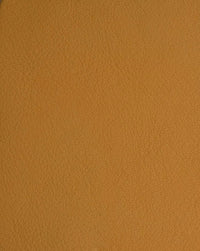 NEVADA | SAND