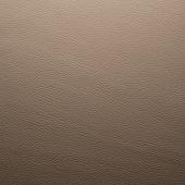 taupe (2817)