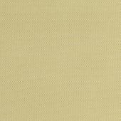 wasabi (7890-06)
