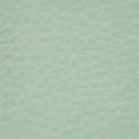 POLAR 257