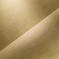 AMBER GLOW (4500)