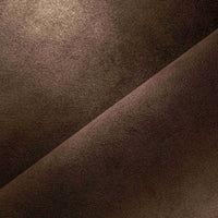 CHESNUT (4576)