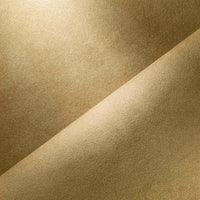 CORN (110)