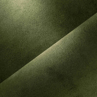 KIWI (4566)
