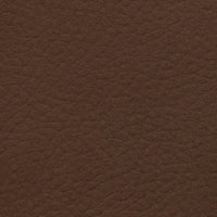 English Walnut