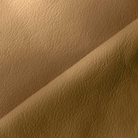 CAMEL (5326)