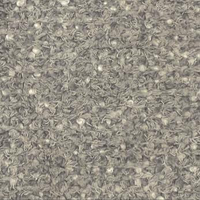 Silver (A5813)