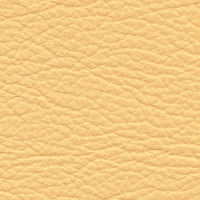 Amarillo (VP581)
