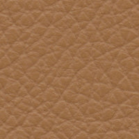 Fiesta (AD6025)