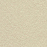 Trumpeter Swan (FE4023)