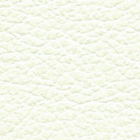 Tundra Swan (AL5026)